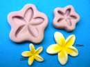 Set of 2 Frangipani Moulds